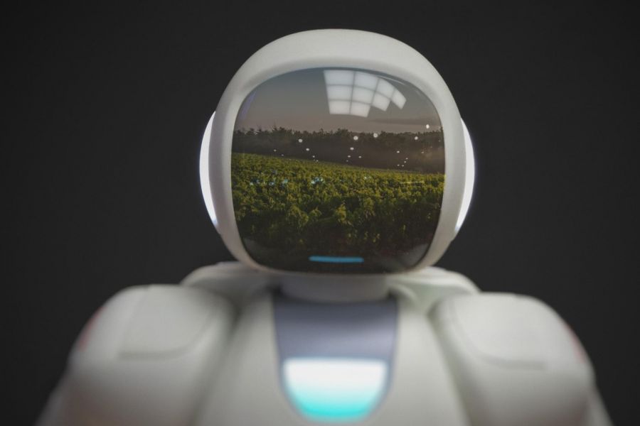 How Robots Are Lending A Helping Hand In The Wine Industry